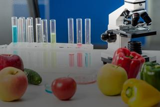 科学设备与食品